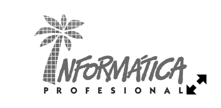 Informática Profesional