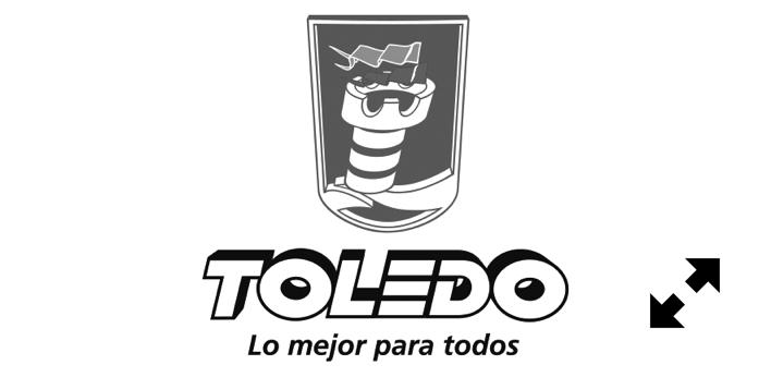 Supermercados TOLEDO