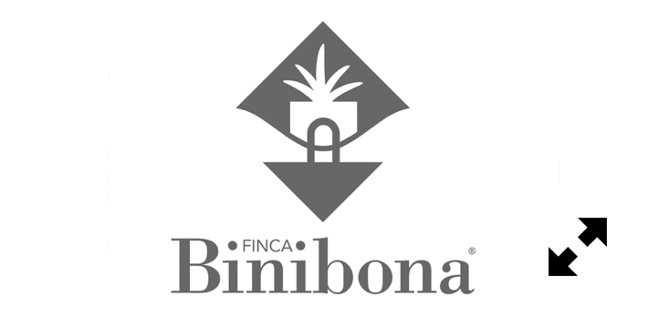 Binibona